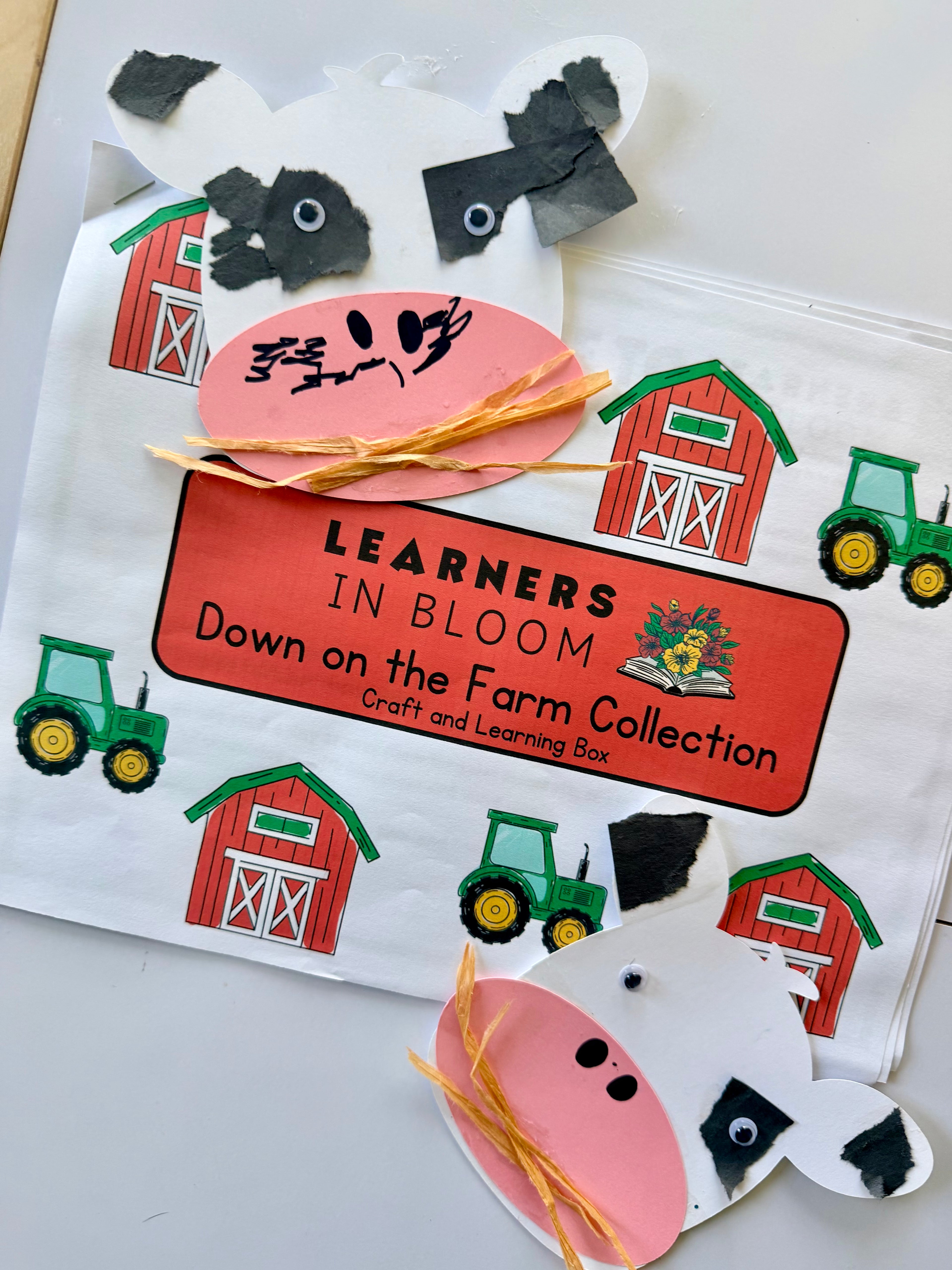 Monthly Craft Box Subscription