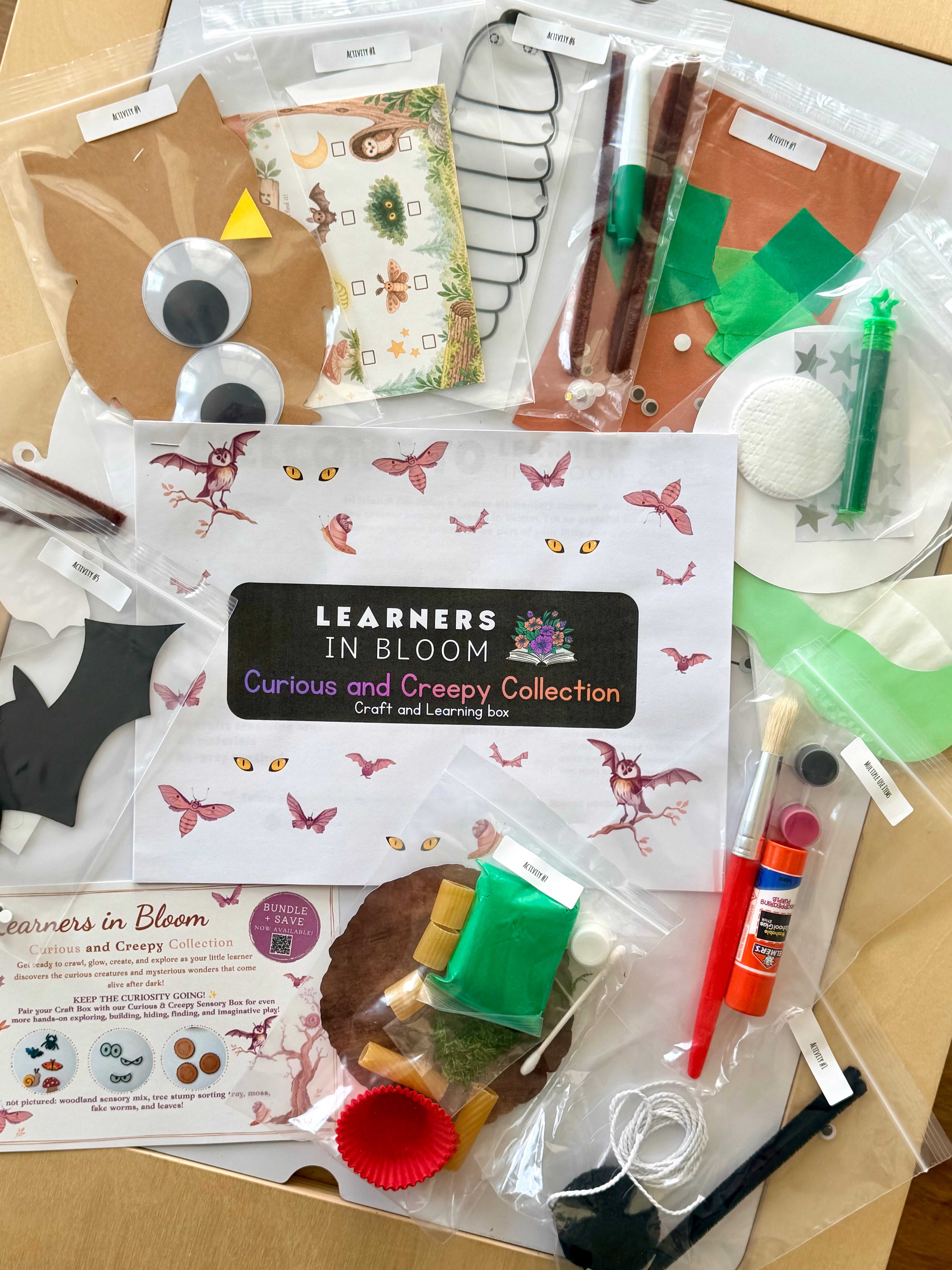 Curious and Creepy Craft box