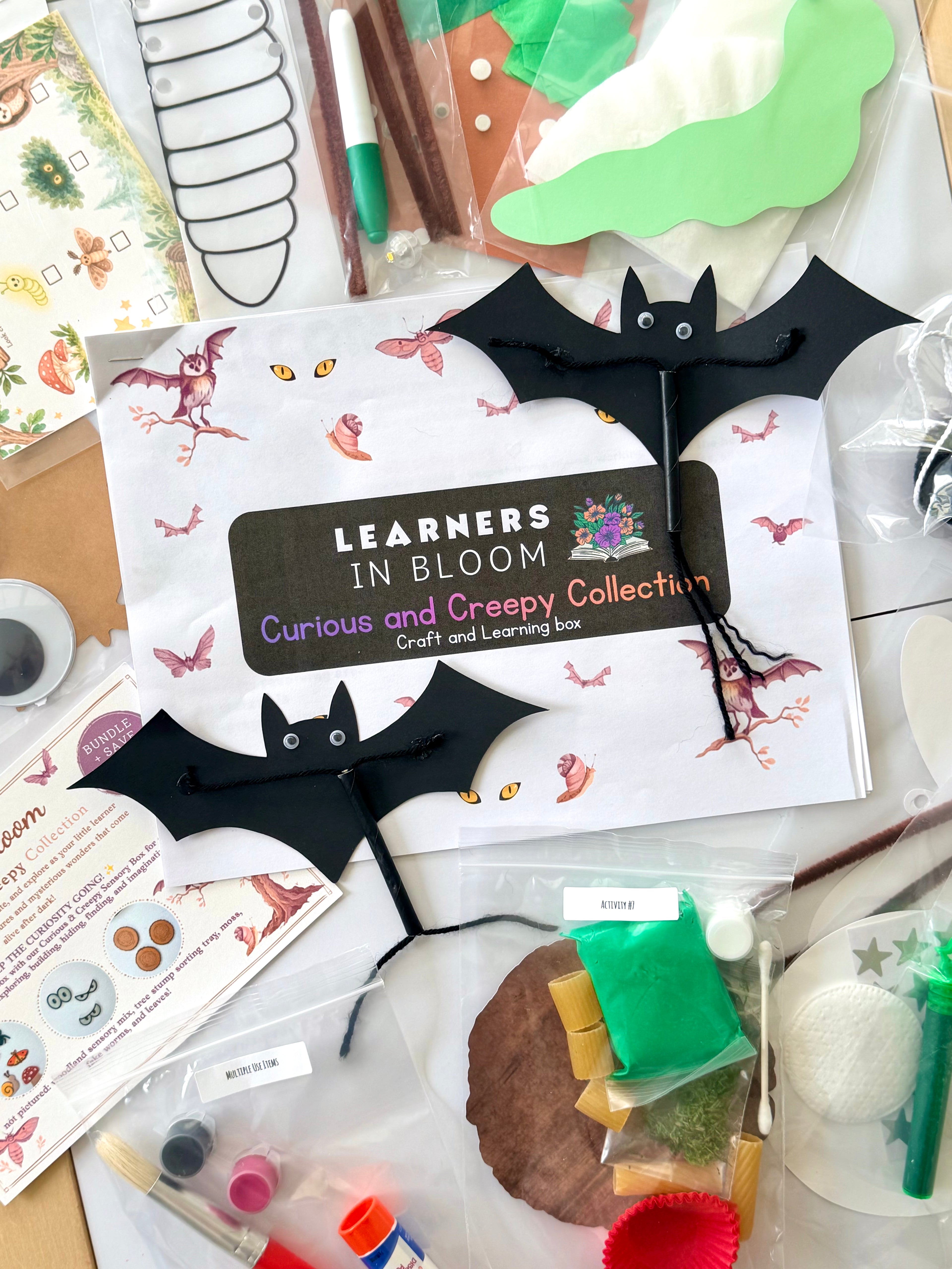 Craft Box Subscription- Quarterly