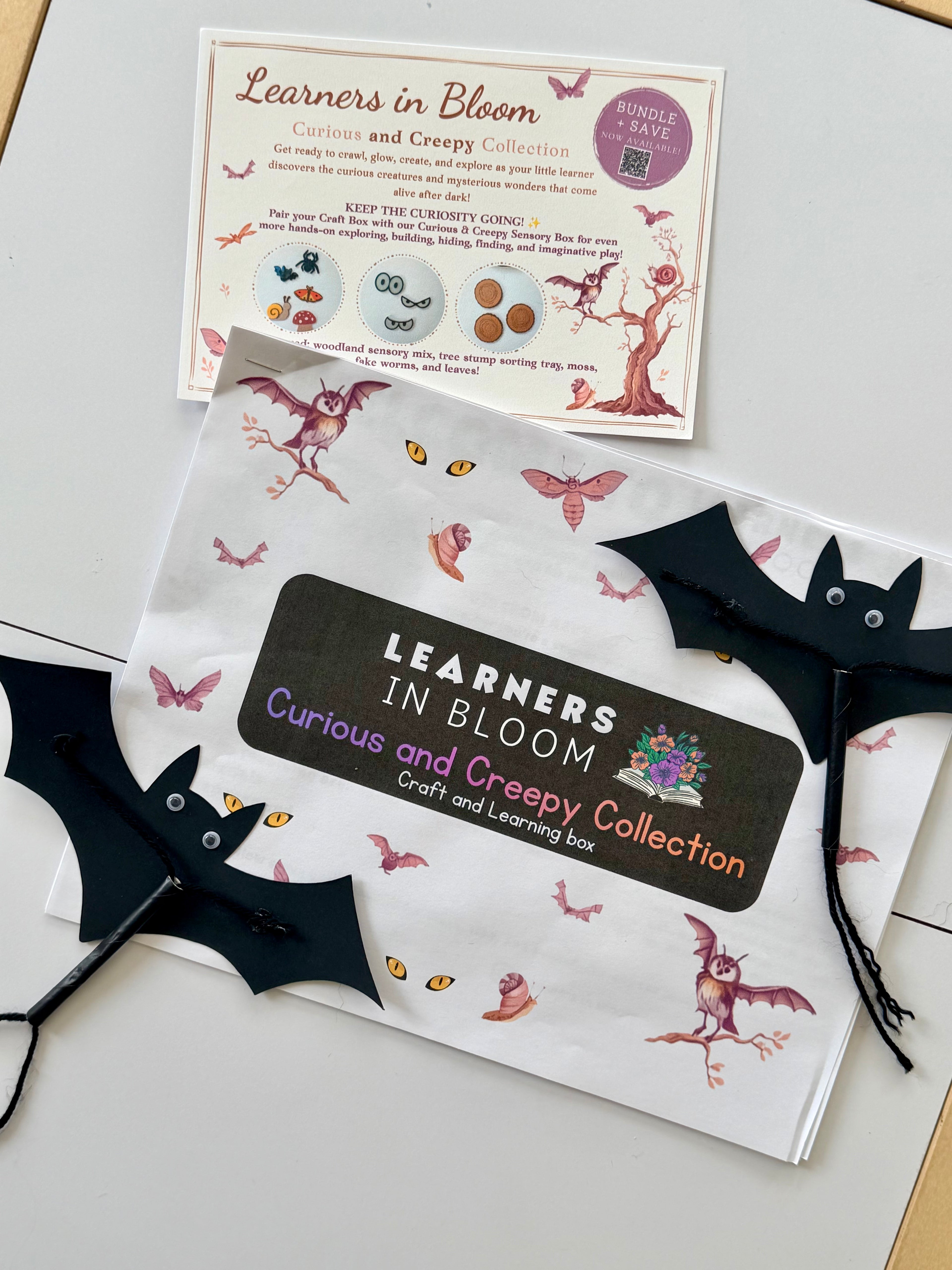Craft Box Subscription- Quarterly