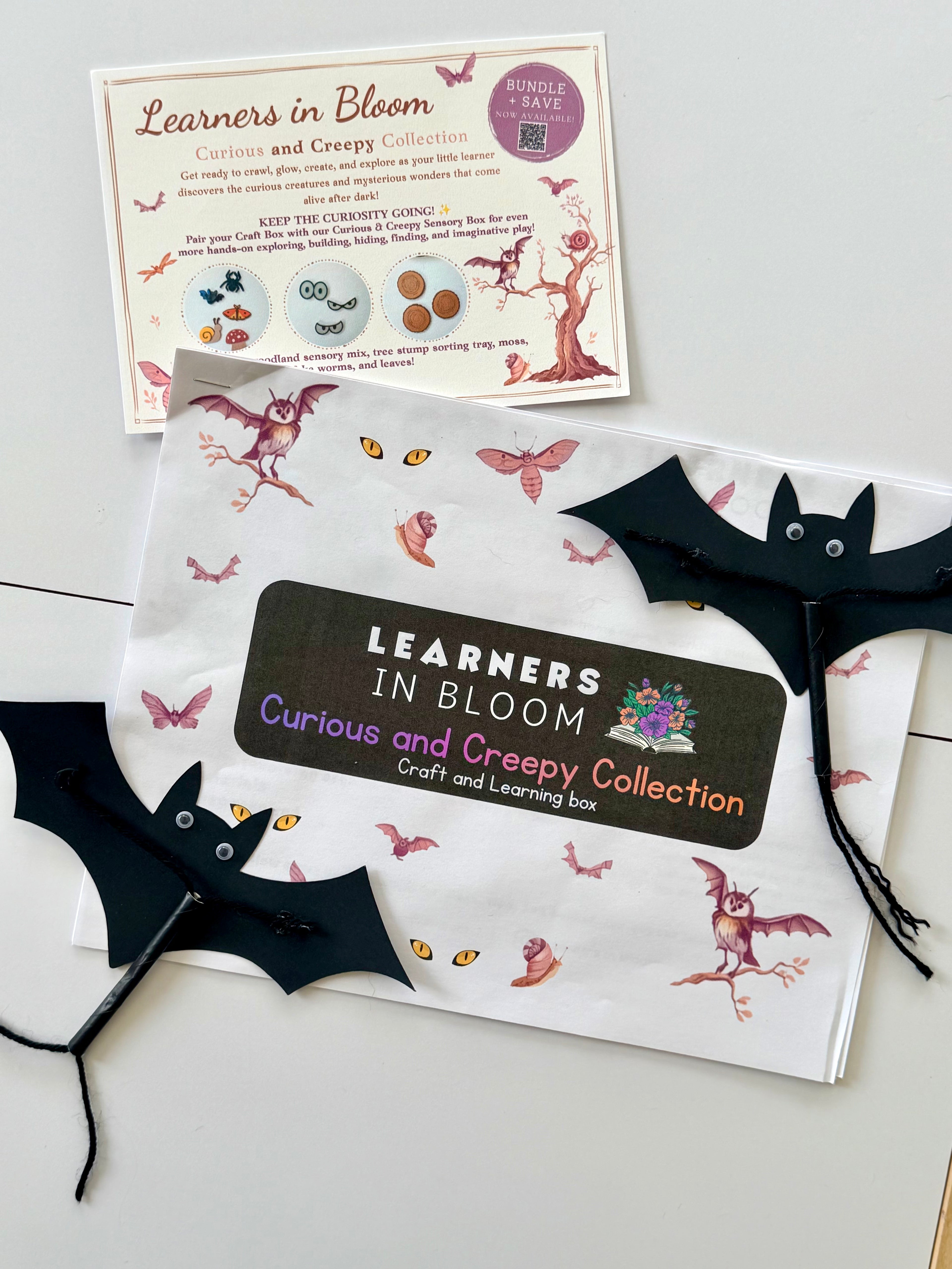 Craft Box Subscription- Monthly